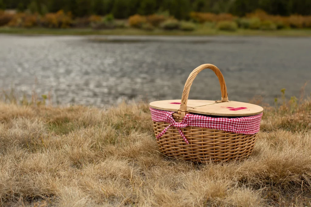 Stylish Picnic Baskets